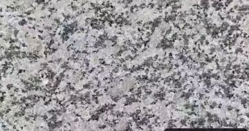 攀枝花 芙蓉白（芝麻白大花）火烧面