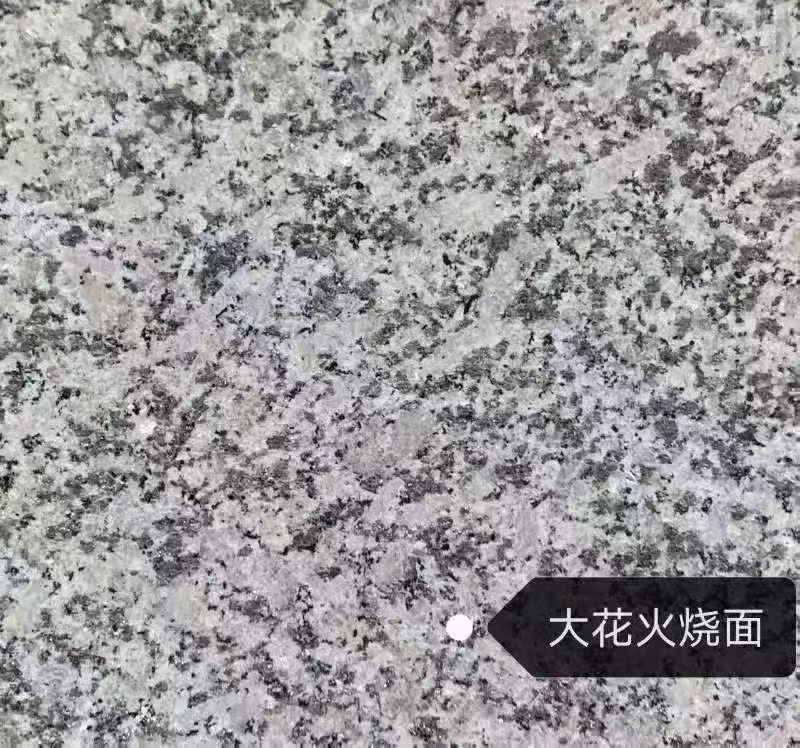 攀枝花 芙蓉白（芝麻白大花）火烧面