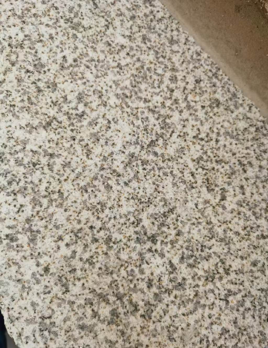 攀枝花 黄金麻中黄光面