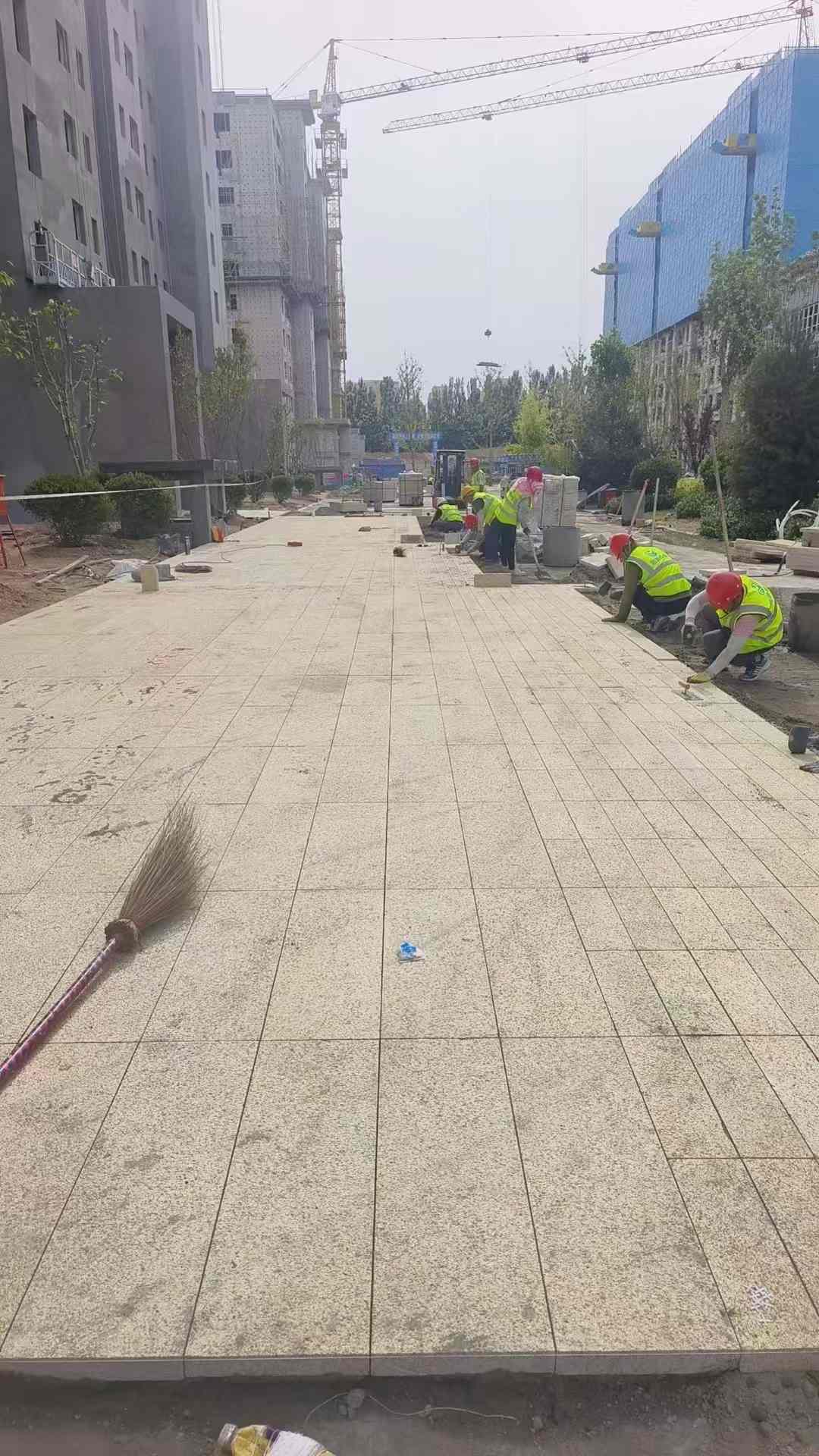攀枝花黄金麻荔枝面地铺案例
