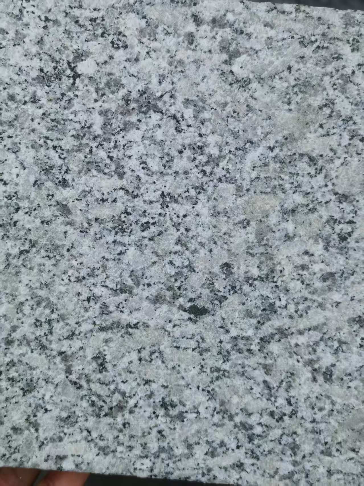 攀枝花 芙蓉白火烧面